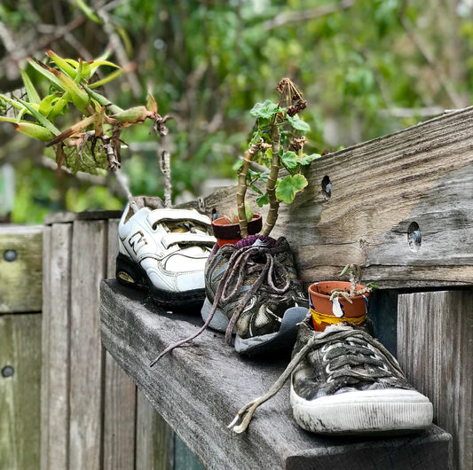 The Best Things to Do in Naples, Florida: A Coastal Paradis